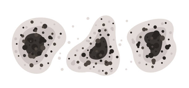 Best Commercial Mold Inspection  in Grand Prairie, TX
