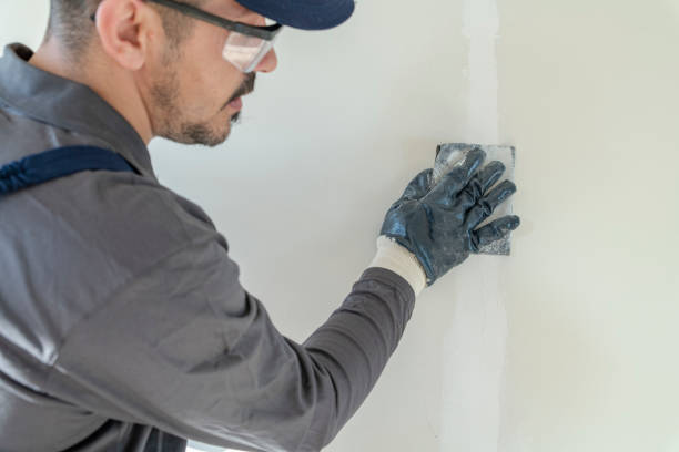 Best Asbestos and Lead Testing During Mold Inspection  in Grand Prairie, TX